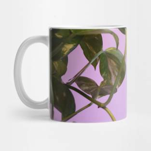 Money plant photography Mug